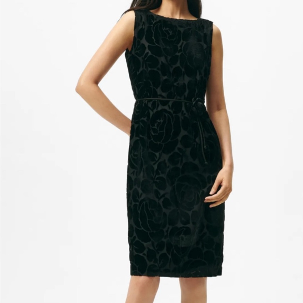 Brook brothers velvet rose print dress